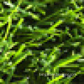 W shape grass